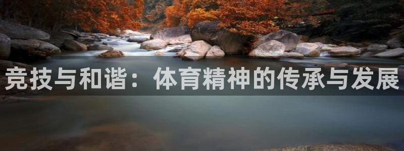 上海杏彩xc汽车电子有限公司