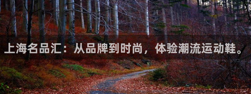 xc是什么网络流行语