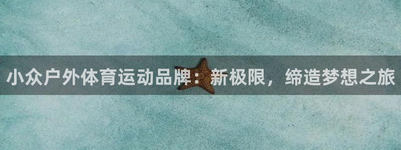 杏彩xc体育网页版入口