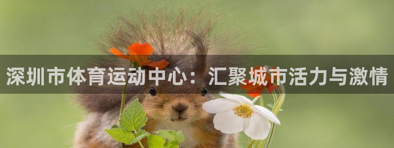 上海杏彩xc汽车电子有限公司