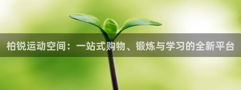 沃尔沃xc90款参数