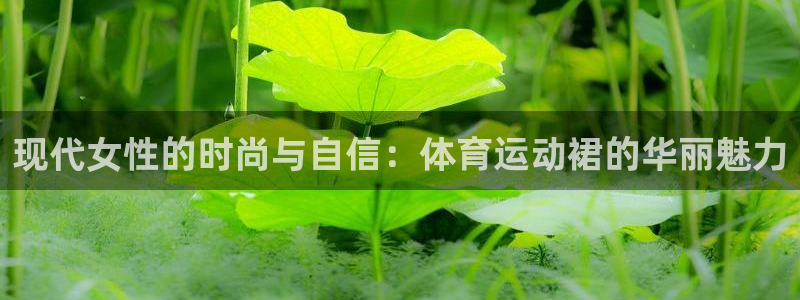 杏彩xc体育平台登录入口