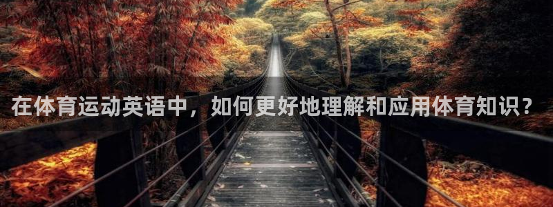 杏彩xc体育游戏
