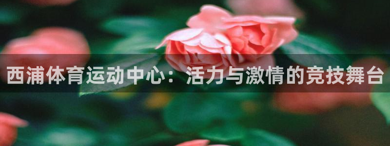 沃尔沃xc90版