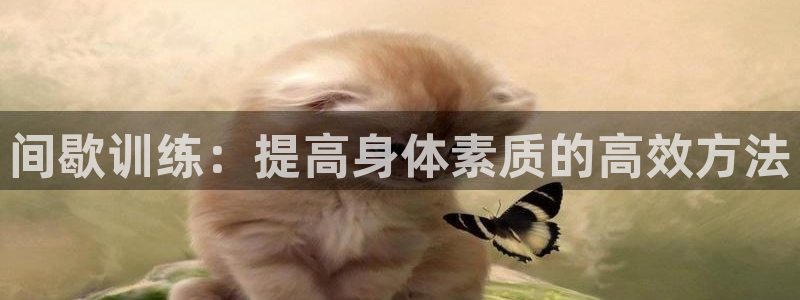 老婆的xc是什么