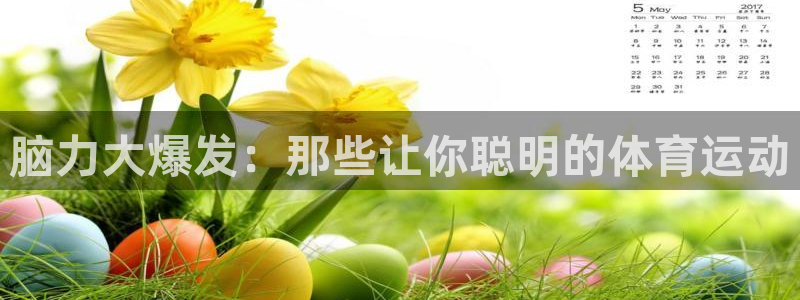 xc的意思