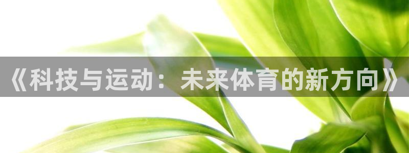 xc是什么意思网络用语