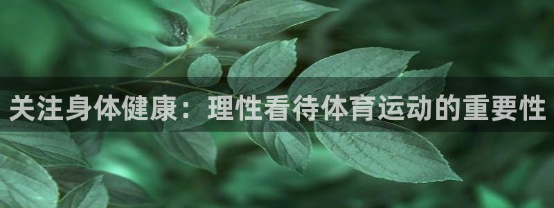 xc是什么材质