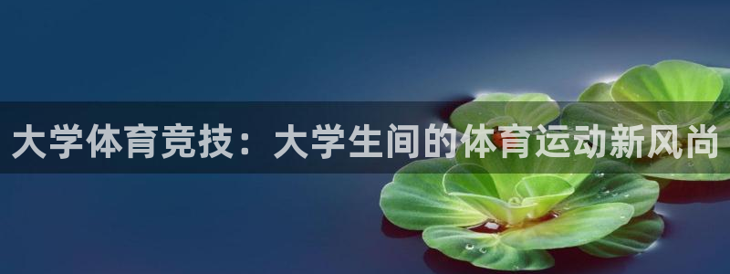 杏彩xc体育和杏耀是哪个公司的