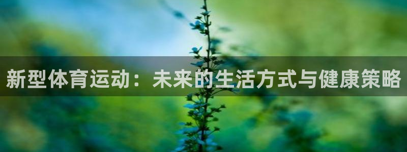 杏彩xc平台总代理