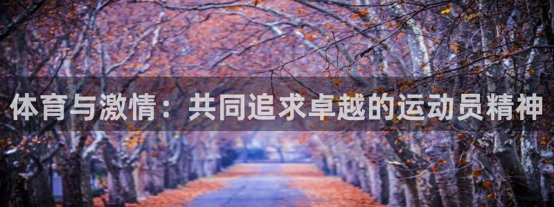 杏彩xc体育f开户