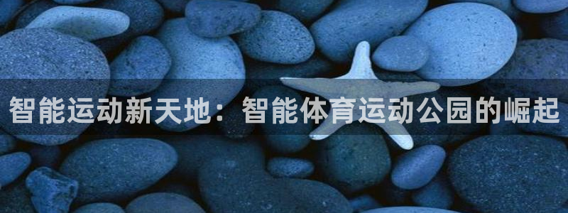 xc等于什么